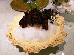 鲜羊肚菌-最品火锅