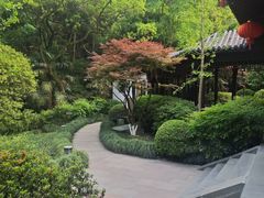 -十八棵（老龙井）御茶园(老龙井店)