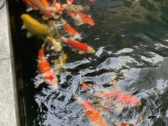-曼谷铂尔曼皇权酒店