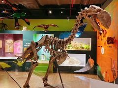 -正佳自然科学博物馆