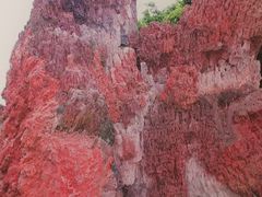 -海口火山口国家地质公园