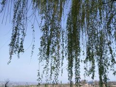 -习仲勋故居