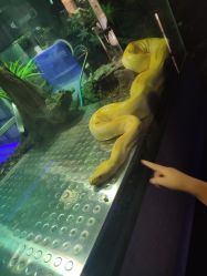 -未来动物城主题公园(正弘城店)