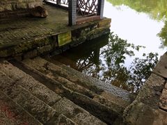 -小洲村