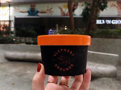 -Elephant Grounds(STARSTREET)