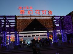 -杭州湾海上花田景区