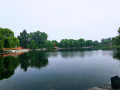 -百脉泉景区