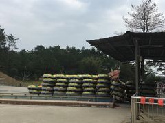 -牛鱼嘴原始生态风景区