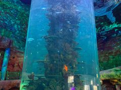 -青岛嘉年华主题乐园