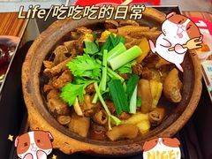 招牌牛腩牛杂煲-包工仔·牛杂自助放题