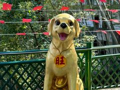 -江西阳明山国家森林公园