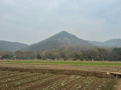 -八卦田遗址公园