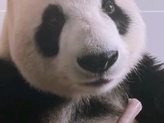 -丁先生蛋糕·品质鲜作(桐梓林店)