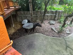 -清迈夜间动物园