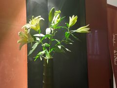 -初蓉丨遇见新川菜(亲贤街荣耀店)