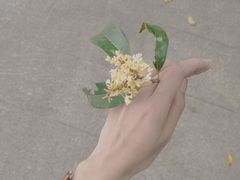 -杭州少年儿童公园