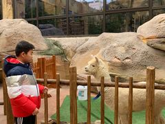 -杭州开元森泊度假乐园