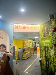 -神奇动物撸宠馆·羊驼·小浣熊·异宠(豫园店)
