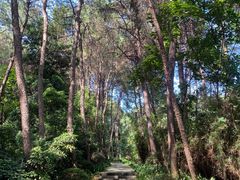 -铁山坪森林公园