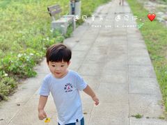 -洨河生态公园