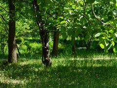 -国家植物园南园