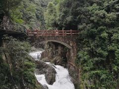 -龙湾潭国家森林公园