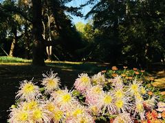 -杭州植物园