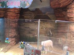 -正佳雨林生态植物园