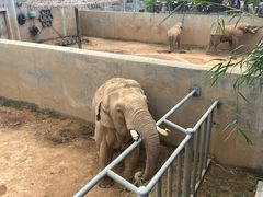 -西霞口神雕山野生动物世界