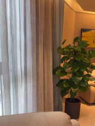 -Yestar杭州艺星医疗美容医院