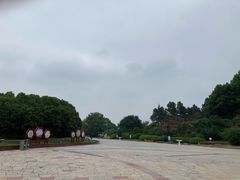 -宜兴龙背山森林公园