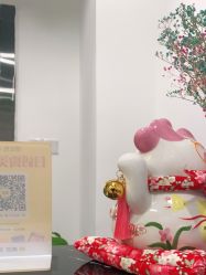 -凡碧诗毛孔收细