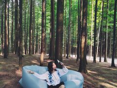 -山王坪喀斯特国家生态公园
