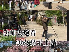 -南山植物园