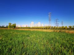 -永定河休闲森林公园