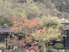 -云溪植物园