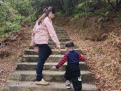 -风云岭森林公园