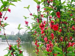 -西湖公园(鼓楼区)