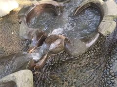 -成都市活水公园