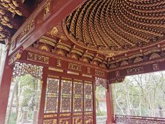 -汇龙潭