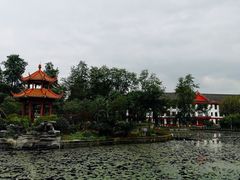 -四川大学(望江校区)