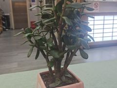 -宸玥酒店(成都西南财大地铁站店)