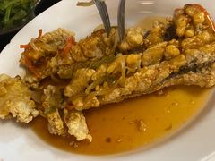-红星光发煲仔饭(文海店)
