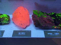 -湖南省地质博物馆