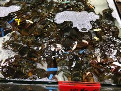 -渔傅·蓝海岸霞浦海鲜(正祥店)