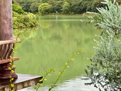 -广州白江湖森林公园