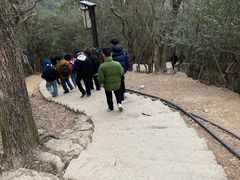 -灵顺寺