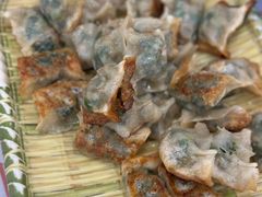 -岳季煎饺