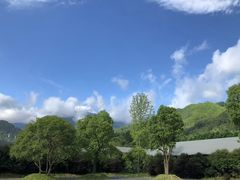 -石台牯牛降景区