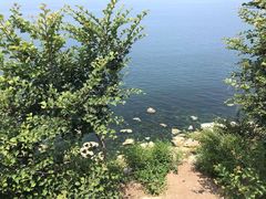 -养马岛旅游度假区
